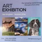 Art exhibition in Newtown Library - April 2024